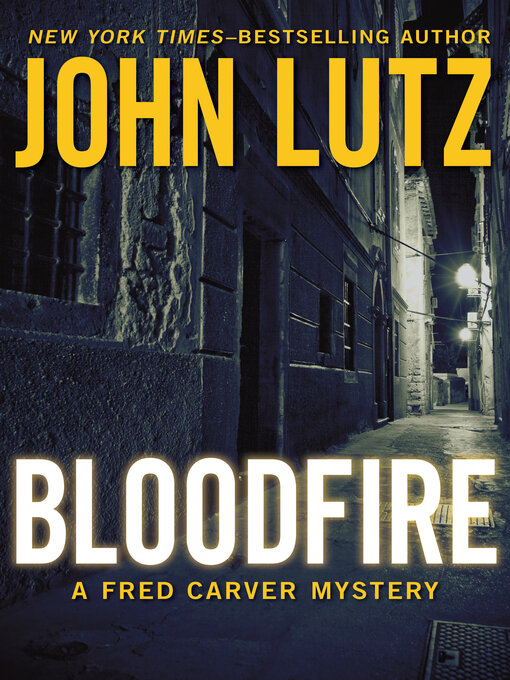 Cover image for Bloodfire